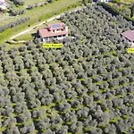 In Einem Spektakulaeren Olivenhain In Einer Ruhig By Interhome Nyaraló Bardolino