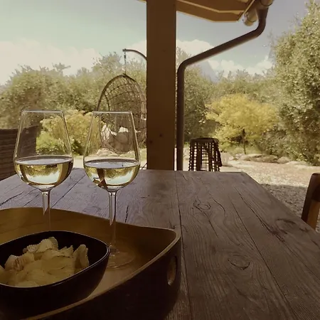 In Einem Spektakulaeren Olivenhain In Einer Ruhig By Interhome Bardolino