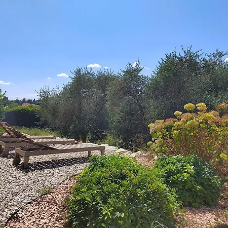 In Einem Spektakulaeren Olivenhain In Einer Ruhig By Interhome Holiday home