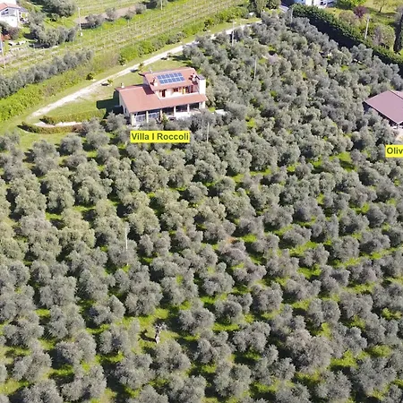 In Einem Spektakulaeren Olivenhain In Einer Ruhig By Interhome Nyaraló Bardolino