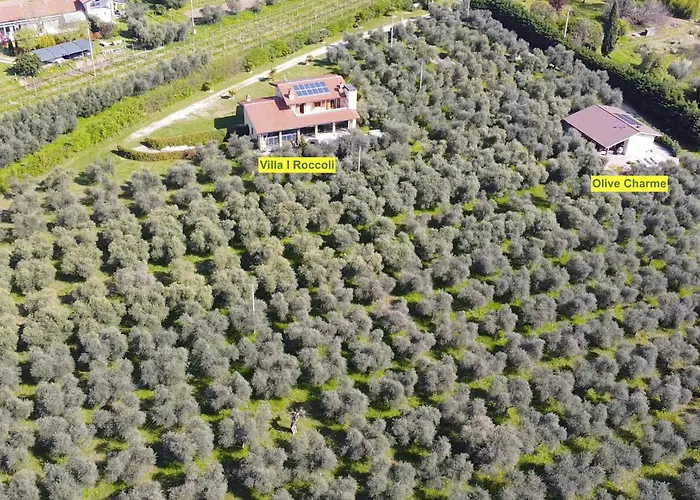 In Einem Spektakulaeren Olivenhain In Einer Ruhig By Interhome Holiday home Bardolino