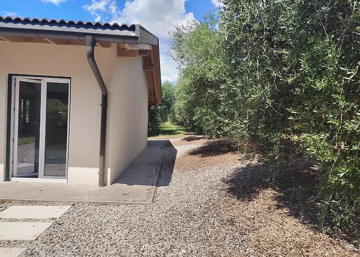 In Einem Spektakulaeren Olivenhain In Einer Ruhig By Interhome * Bardolino